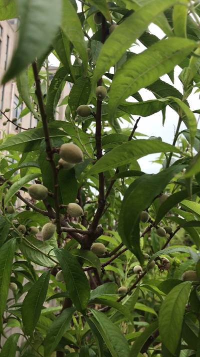 3ba5c1e82a967d56535aefa8c1b389f 3ba5c1e82a967d56535aefa8c1b389f